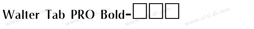 Walter Tab PRO Bold字体转换